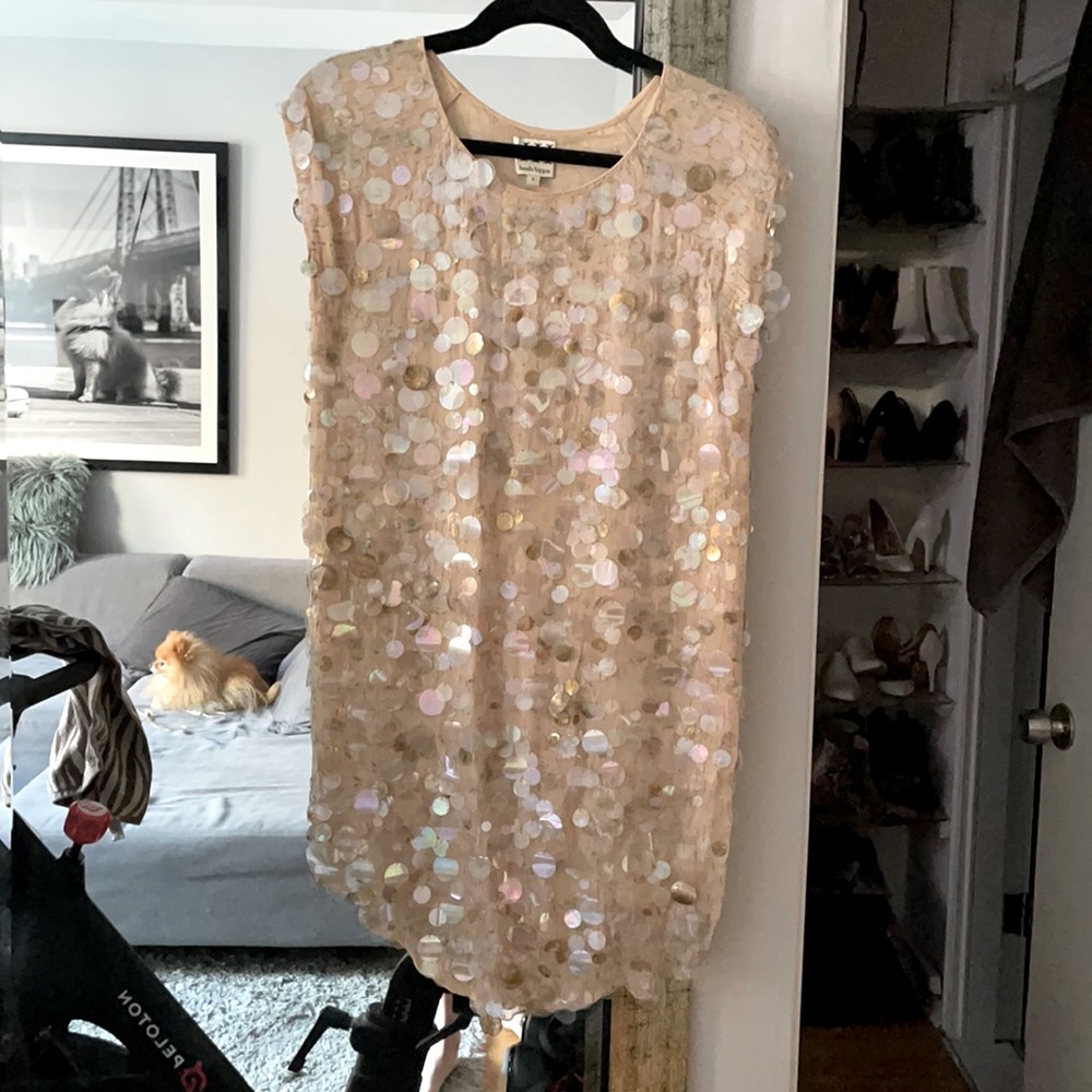 Haute Hippie Paillettes Dress